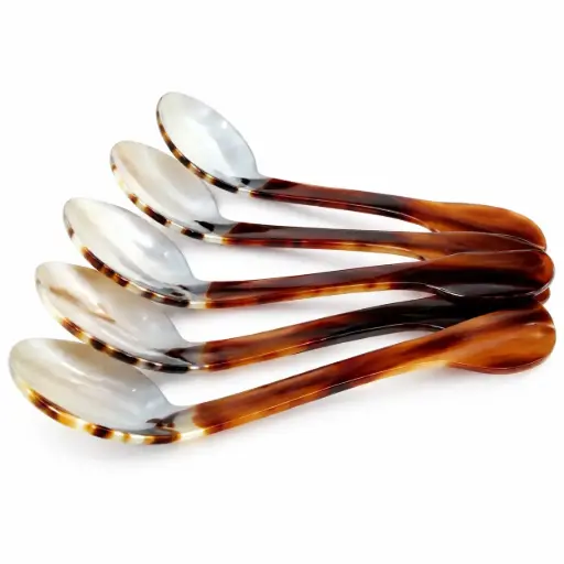 [A637] Shell Spoon 