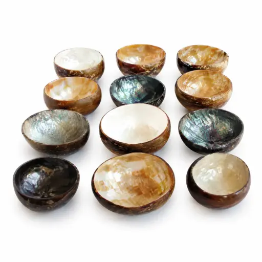 [A636] Shell Bowl 