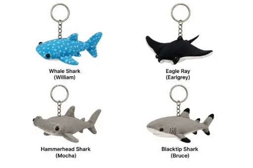 Key chain