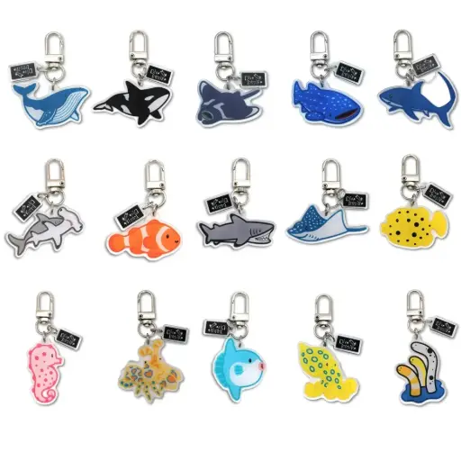 [A2414] Blind key ring
